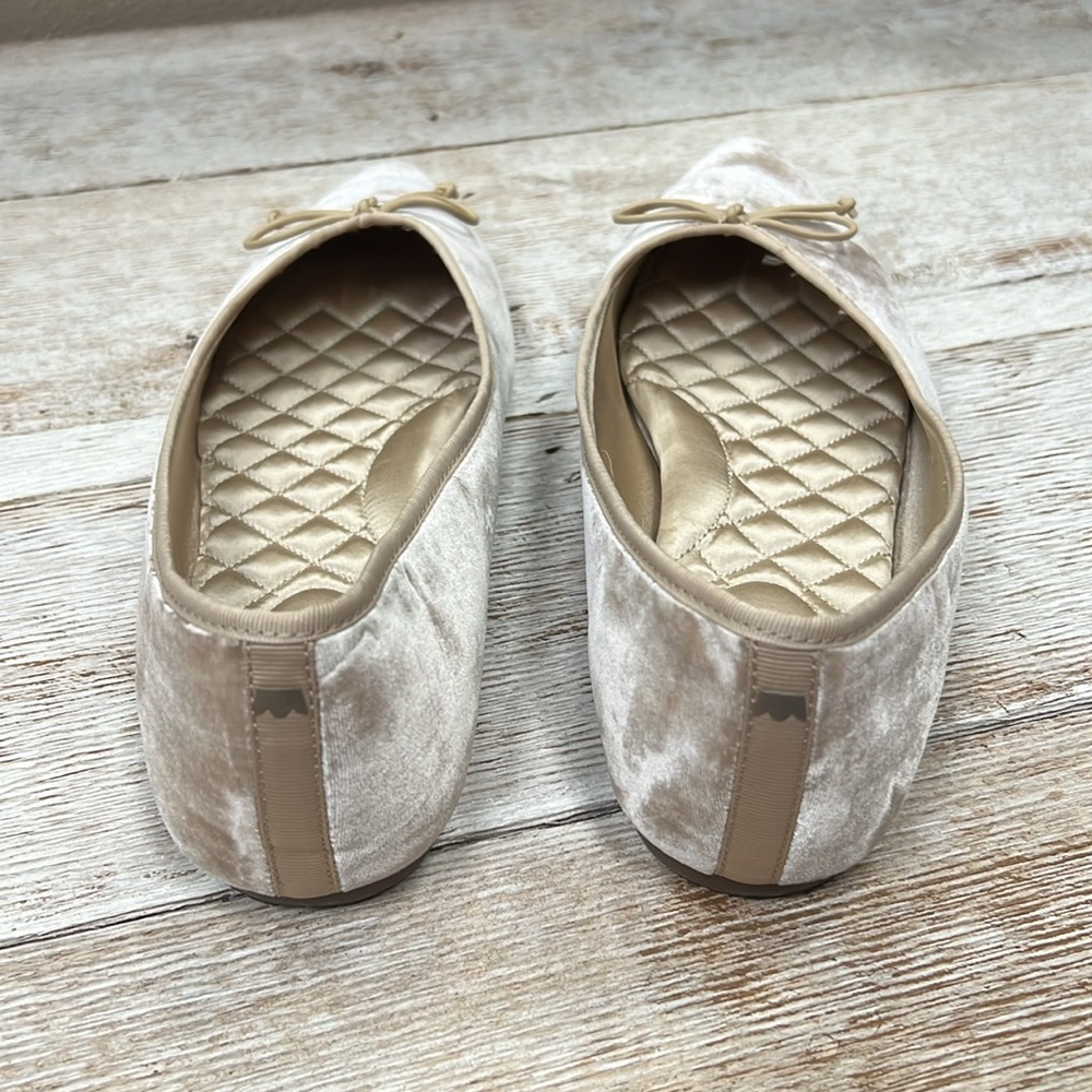 Birdies Goldfinch Pointed Toe Ballet Flat Shoe - Picture 4 of 8